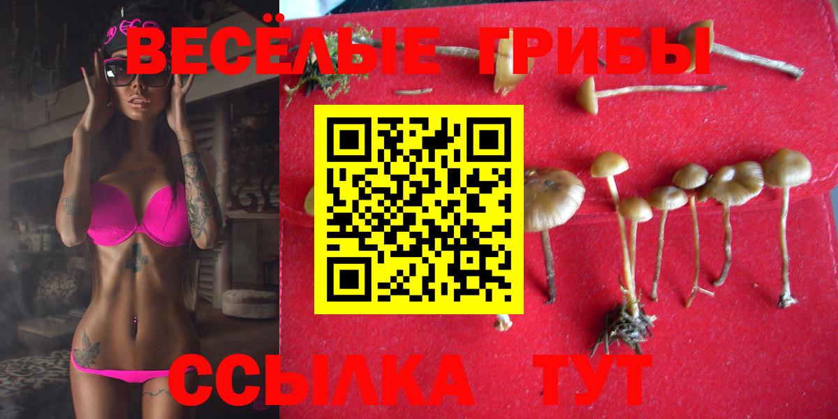 Псилоцибиновые грибы Psilocybine cubensis Ханты-Мансийск